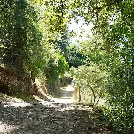 Casa Do Jorge 莱里亚