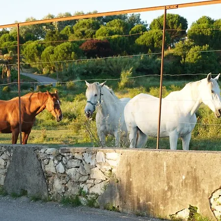 Casa Do Jorge 度假居
