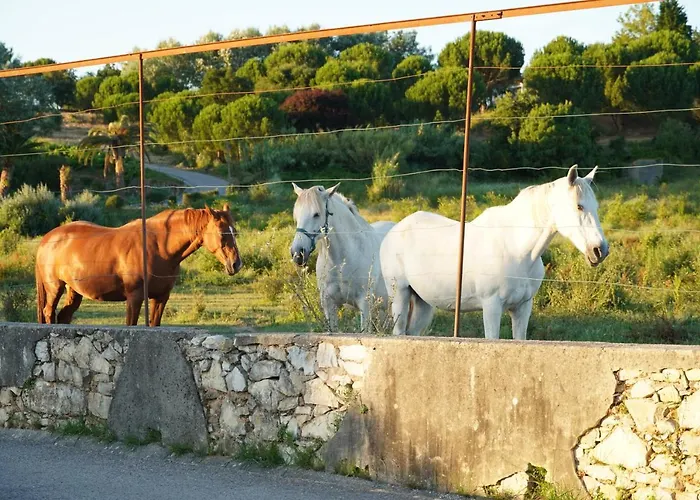 Casa Do Jorge Σπίτι διακοπών